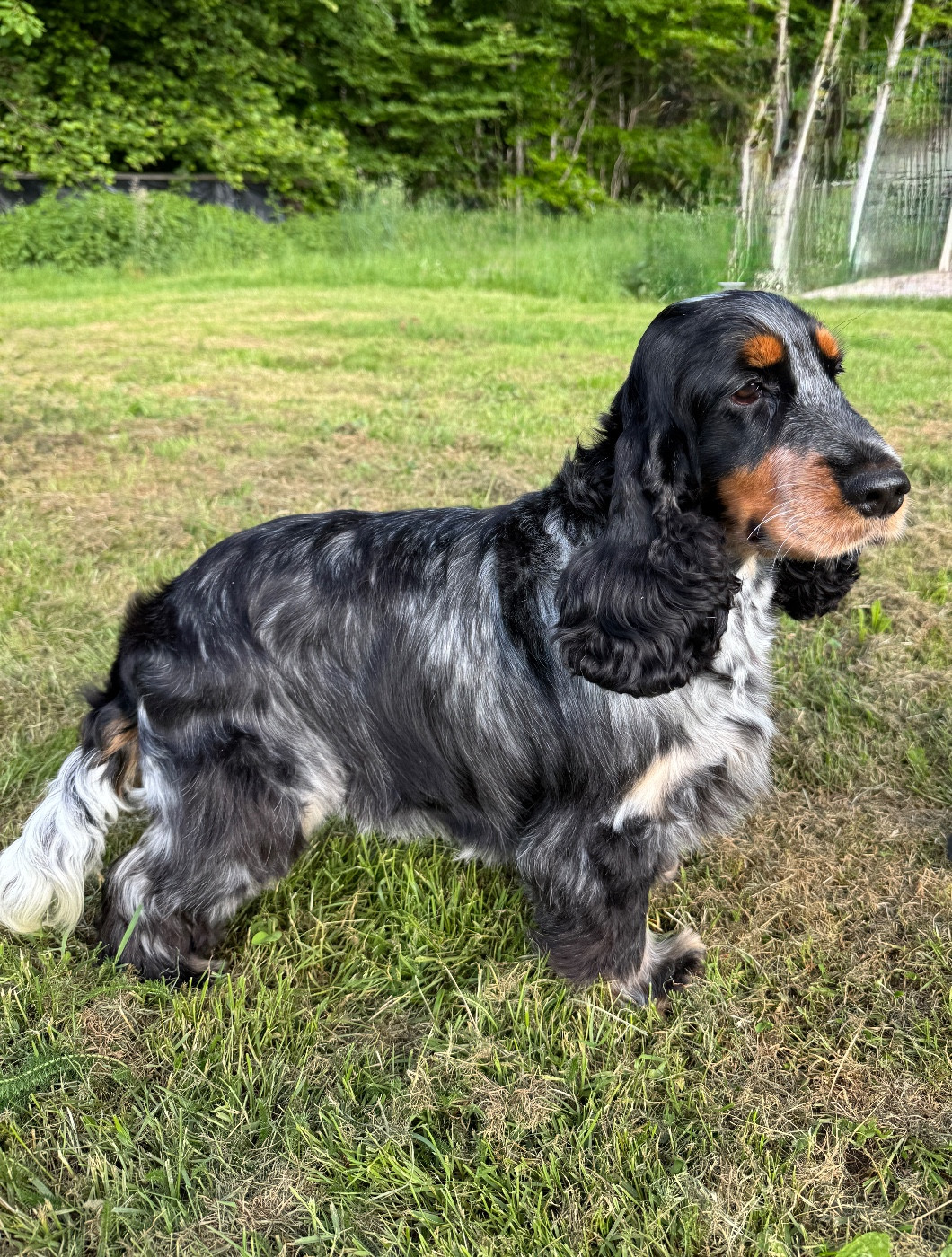 Urssaf de la P'tite Mosellane