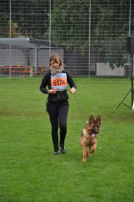 Championnat du Monde ULM !!!! 2012